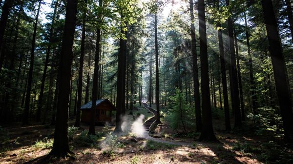 Top 10 campings écologiques pour des vacances durables