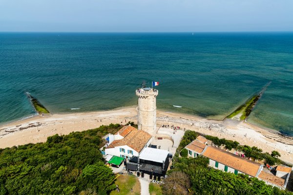Quels sont les meilleurs spots pour observer les baleines à Hermanus, Afrique du Sud?